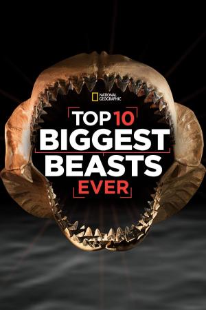     10 największych bestii w historii
